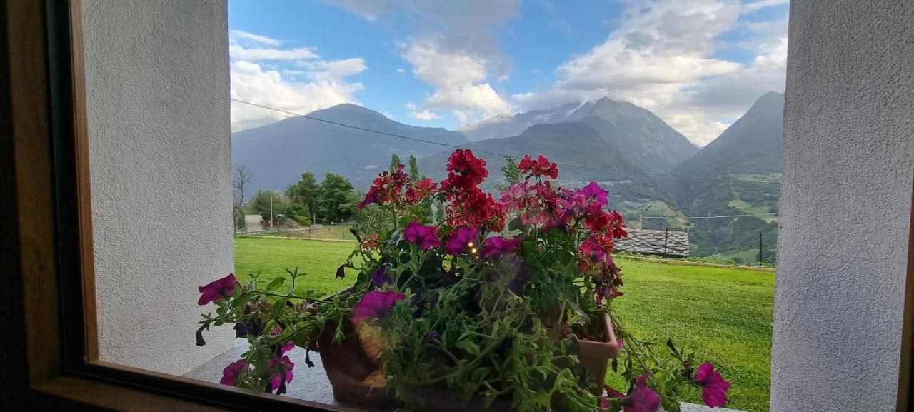 Lo Noyer Et Les Roses Bed & Breakfast Saint Nicolas Exterior photo